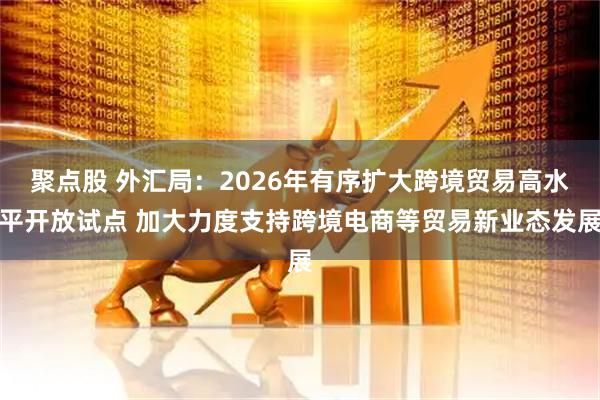 聚点股 外汇局：2026年有序扩大跨境贸易高水平开放试点 加大力度支持跨境电商等贸易新业态发展