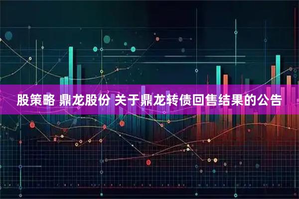 股策略 鼎龙股份 关于鼎龙转债回售结果的公告